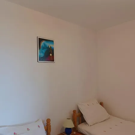 Apartment Kostajnsek *